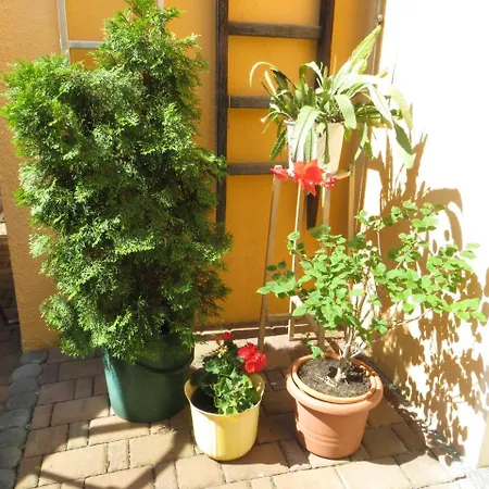 Gaestewohnung Eckert Hoyerswerda